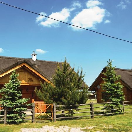 3 Bedroom Cozy Home In Mscice Podamirowo Zewnętrze zdjęcie